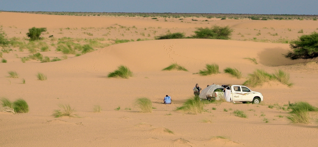 Le Sothiou - Mission Mauritanie novembre 2007