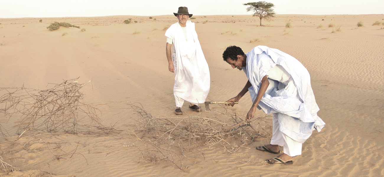 Le SOthiou - Mission à venir en Mauritanie